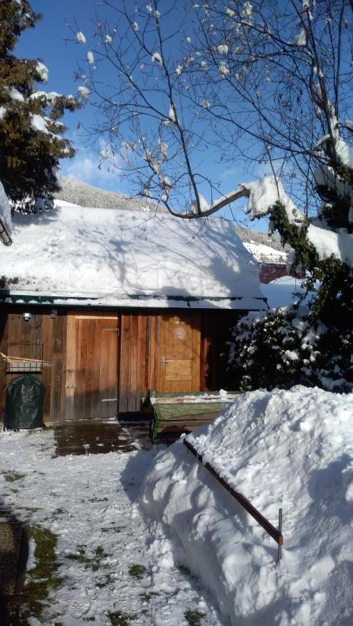 ザンクト・ローレンツェン・オプ・ムーラウ Chalet Dorferヴィラ エクステリア 写真